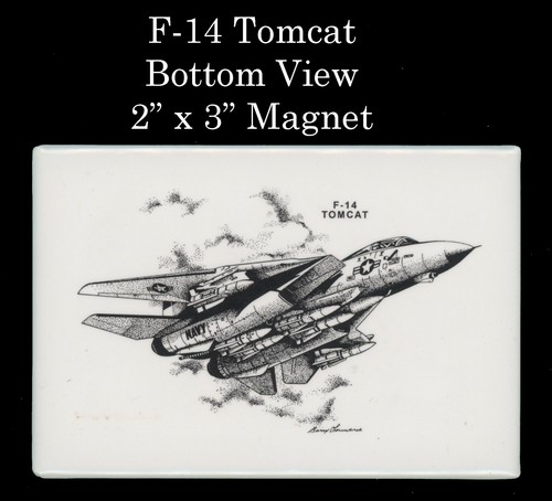Tomcat navy fighter - tomcat,