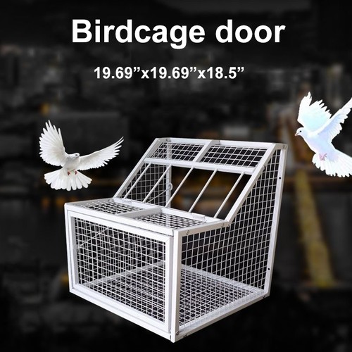 Trap for pigeon birds - for,
