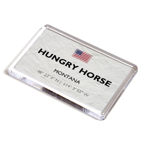 Fridge magnet hungry horse - magnet,