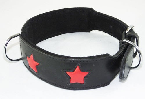 Black staffie dog - black, collar