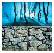 Aquarium Fish Tank Background 2 Sides - 60cm High 2 to 10 FT Lengths