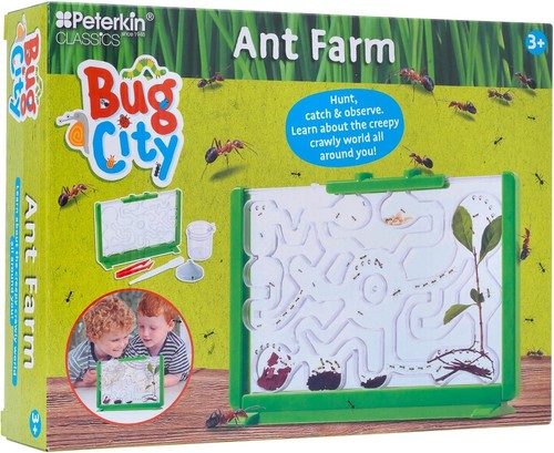 Ant farm for - farm,