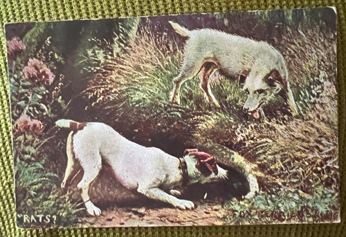 Antique dog postcard jack - postcard,