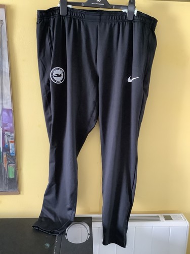 Brighton and hove albion - brighton,