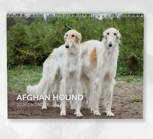 Afghan hound calendar 2026 - calendar,