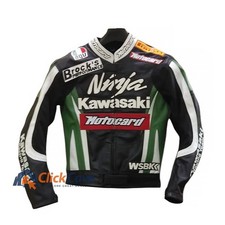 Kawasaki Racing Biker