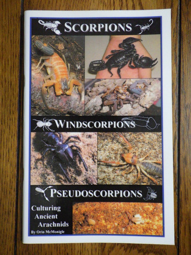 Scorpions windscorpions - scorpions,