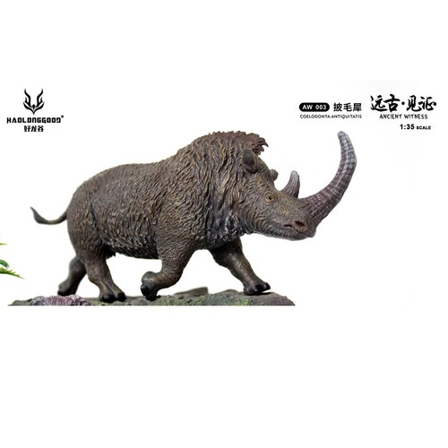 Haolonggood coelodonta - haolonggood,