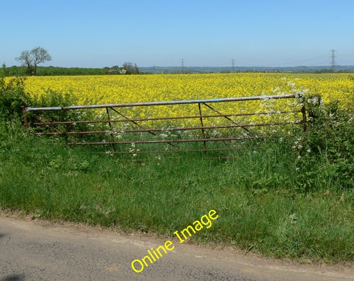 Photo 6x4 field - of, seed