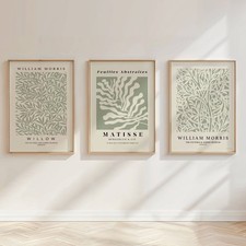 Set of 3 Matisse William