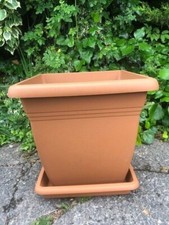 Large 40cm square plant - square, pots