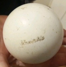 Henselite White Lawn Bowls