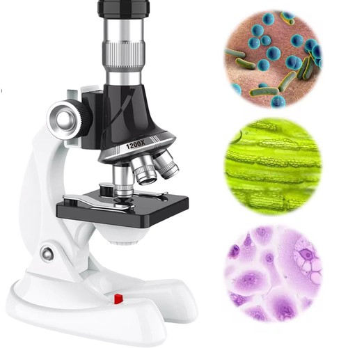 Microscope for kids beginners - for,