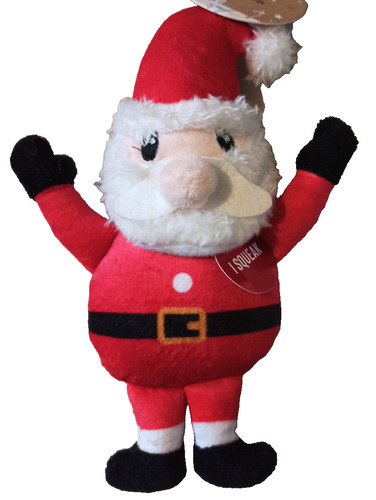 Father christmas santa pet - father,