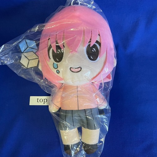Bocchi the rock - bocchi, special