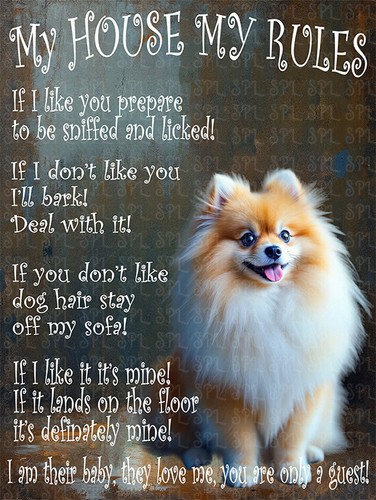 Pomeranian dog house - pomeranian,