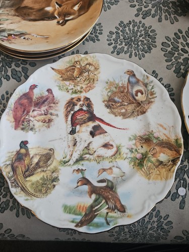Macdonald fine bone chine - macdonald,