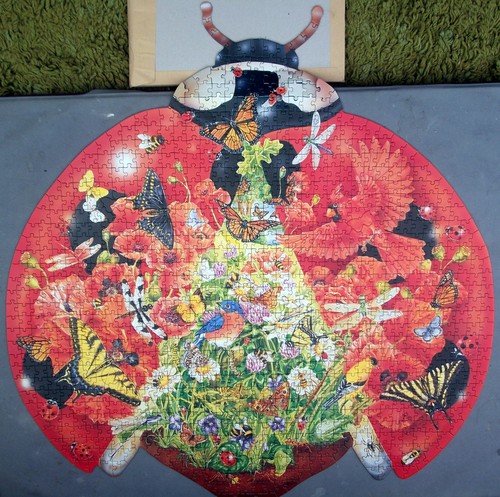 Pre loved schmid ladybug - schmid,