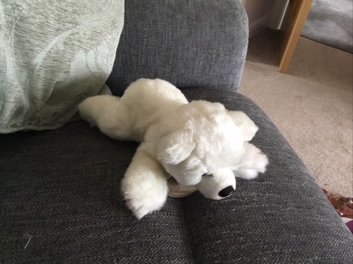 Russ polar bear brand is - polar,