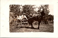 RPPC Horse Drawn Two Wheeled