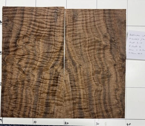 American walnut figured - walnut, real