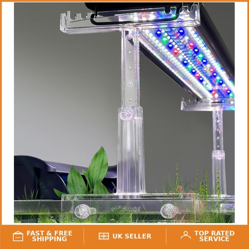Modern acrylic aquarium - acrylic,