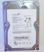Seagate ST31000524AS -
