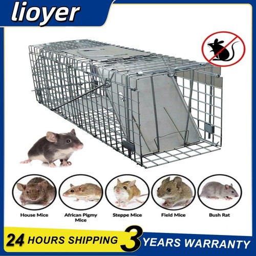Large metal squirrel - large,
