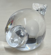 Clear Art Glass Fish
