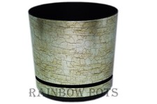 Plastic Pots Flower Plant