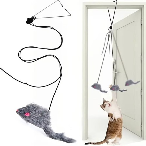 Door hanging cat toy - door,