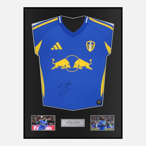 Framed wilfried gnonto - wilfried,