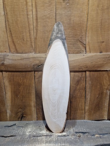 Live edge ash slab - edge,
