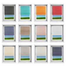 Day & Night Zebra Vision