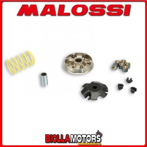 5111380 variator malossi - 5111380,