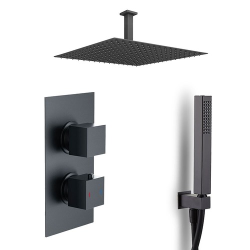 Dual control black - control,