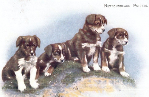 Vintage art postcard - vintage,