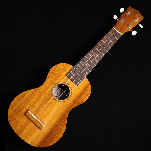 Famous soprano ukulele - fs-5g,
