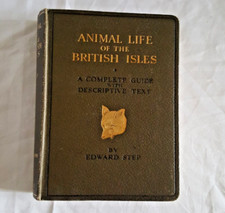 Wayside & Woodland, Animal