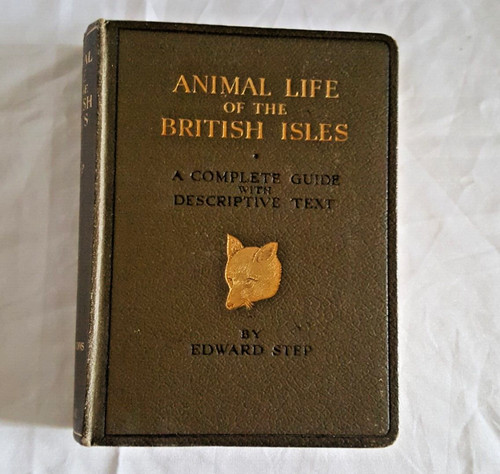 Wayside woodland animal - wayside, woodland,