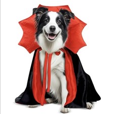Medium  Dog Halloween Costume