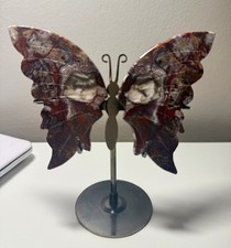 Crazy Lace Butterfly Wings on