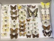 A COLLECTION OF 41 BRITISH &