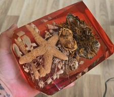 Large Lucite Paperweight Crab