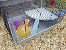 Pets at Home Habitat 2 Dwarf or Syrian Hamster & Mouse Cage Grey plus extras