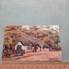 Vintage Postcard THE CAT &