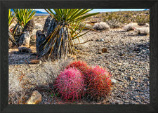 Red Barrel Framed Wall Art