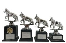Personalised Silver Dog Show
