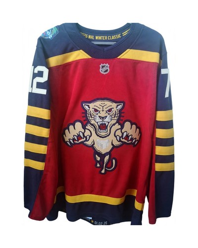 Florida panthers winter - florida,
