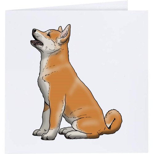 Begging akita puppy greeting - 'begging,